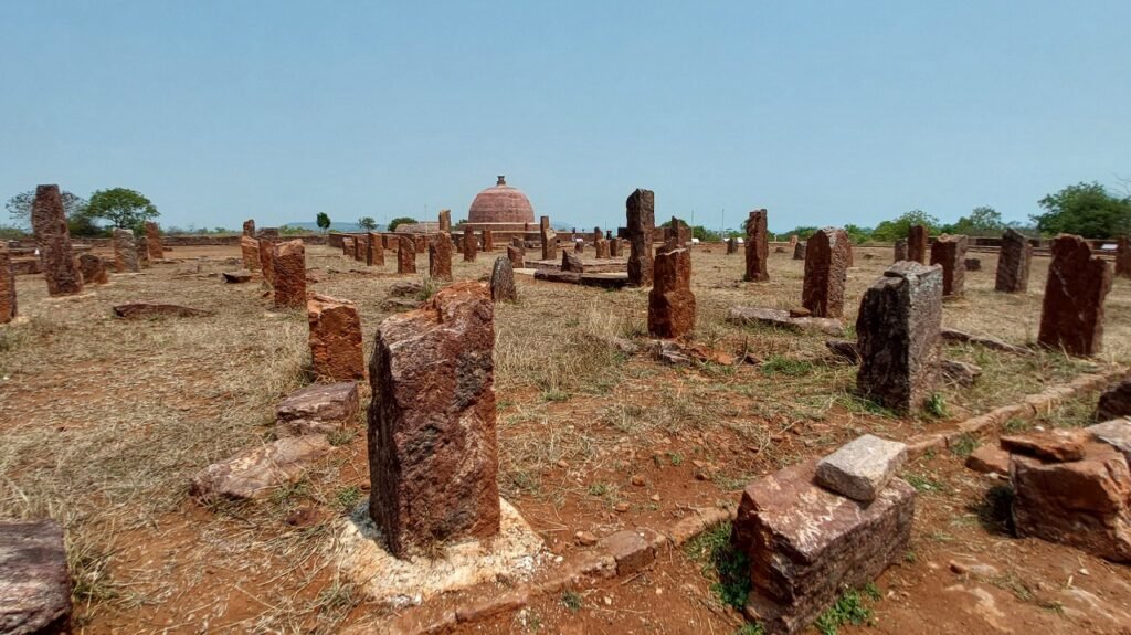 WhatsApp Image 2025-10-24 at 5.00.48 PM